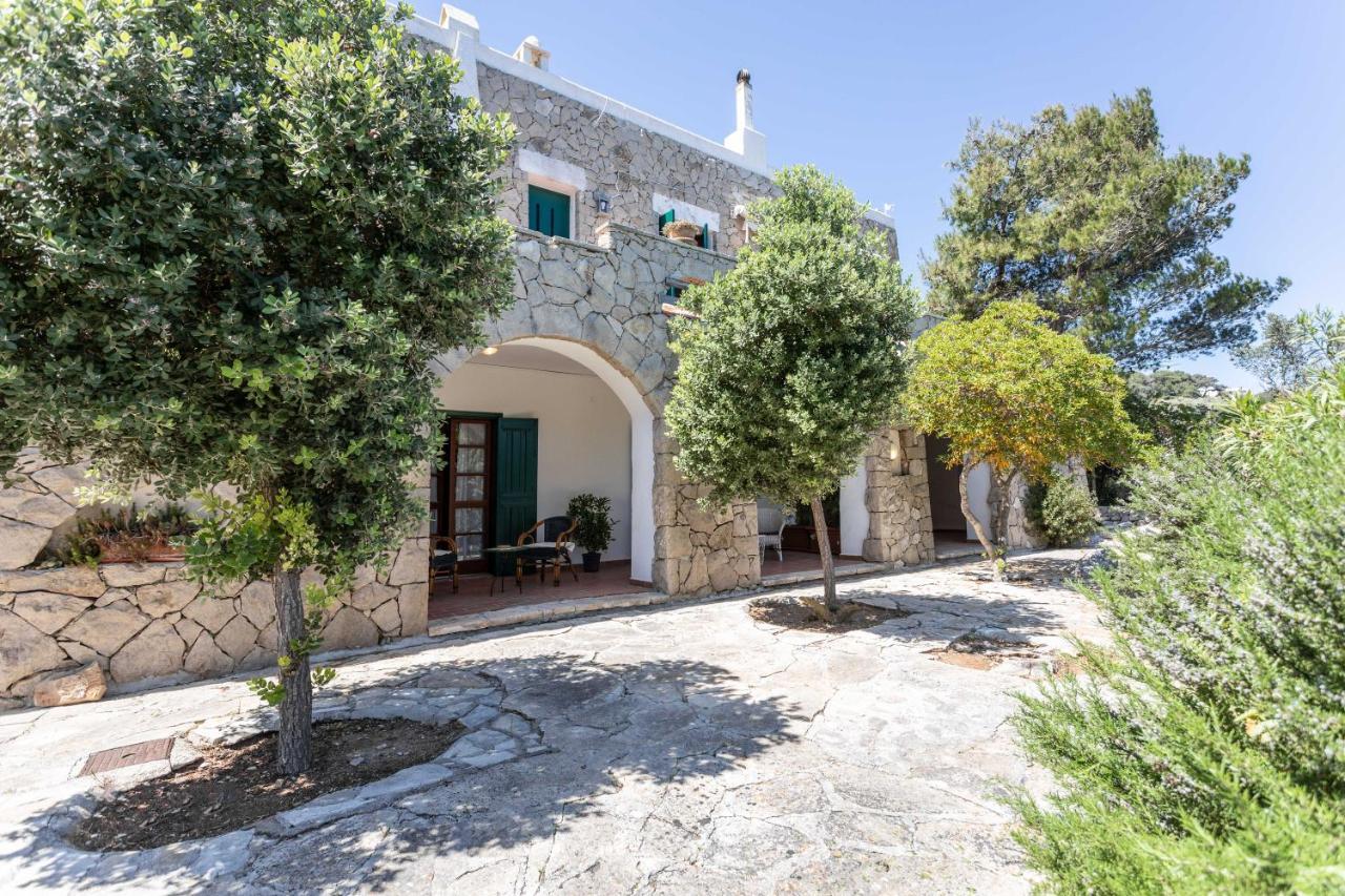 Il Posto Delle Fragole Bed & Breakfast Castro  Exterior photo